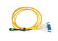 Norme optique jaune de Telcordia de noyaux de la corde de correction de fibre de Mtp-Sc de Mpo d'évasion 8 fournisseur