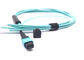 12 24 câbles multi du mode Om3 Om4 Ofnp de la corde de correction de la fibre MPO MTP 10gbs fournisseur